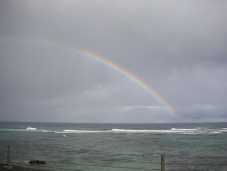 Hawaiian Rainbow1