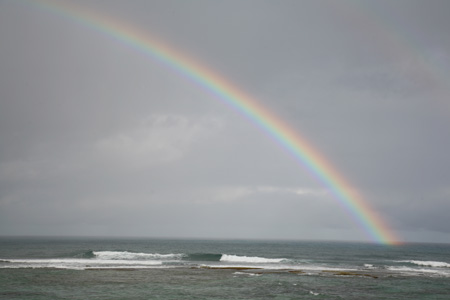 Hawaiian Rainbow2