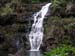 Waimea Valley Audubon Falls3