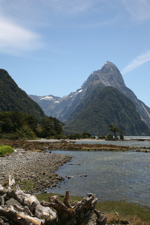 3015 At the shores of  Milford Sound