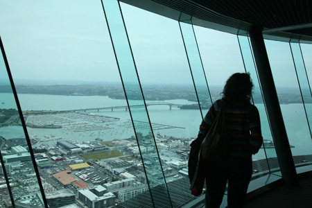 3505 View from the Sky Tower