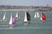 3532 Sailboat races