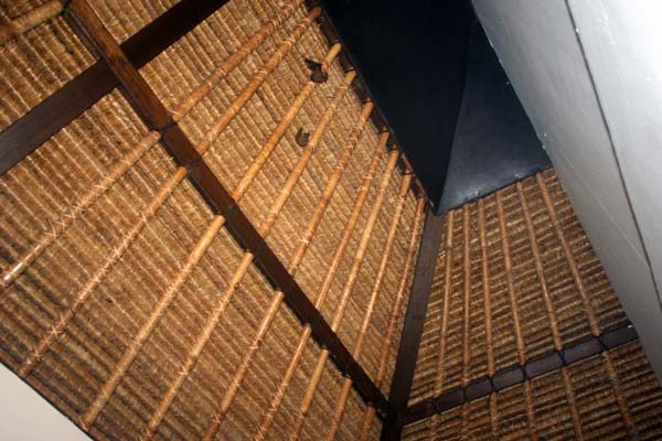 Bats Belfry aka porch ceiling