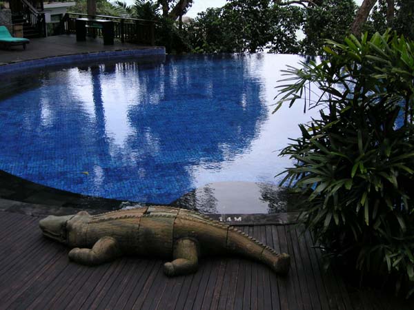 Pool at Banyon Tree Resort2