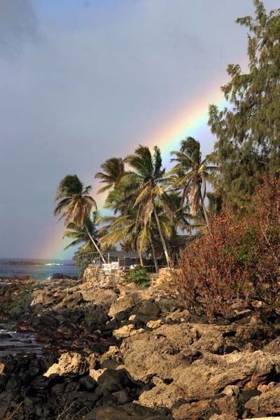 Oahu Rainbow 1